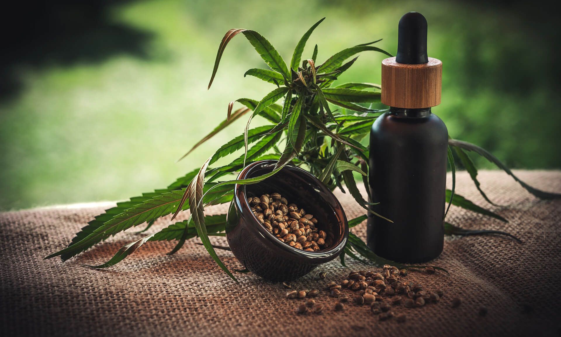 CBD-Öl-Flasche mit Hanfblättern und Hanfsamen