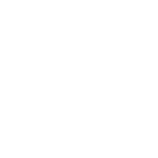 Steam Inn Logo